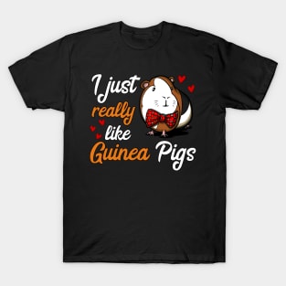 I Just Really Like Guinea Pigs Funny Pet T-Shirt